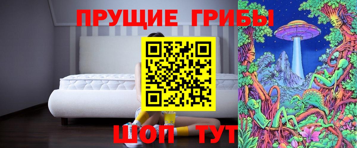 Среднеуральск  Псилоцибиновые грибы Psilocybe  Вход с VPN 